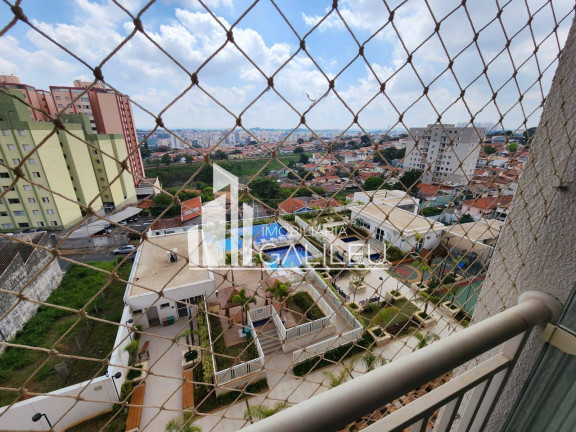 Imagem Apartamento com 2 Quartos à Venda, 60 m² em Ponte Preta - Campinas Imagem Apartamento com 2 Quartos à Venda, 60 m² em Ponte Preta - Campinas