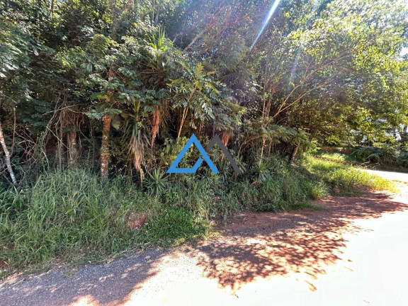 Imagem Terreno à Venda, 1.487 m² em Jundiaizinho (terra Preta) - Mairiporã Imagem Terreno à Venda, 1.487 m² em Jundiaizinho (terra Preta) - Mairiporã