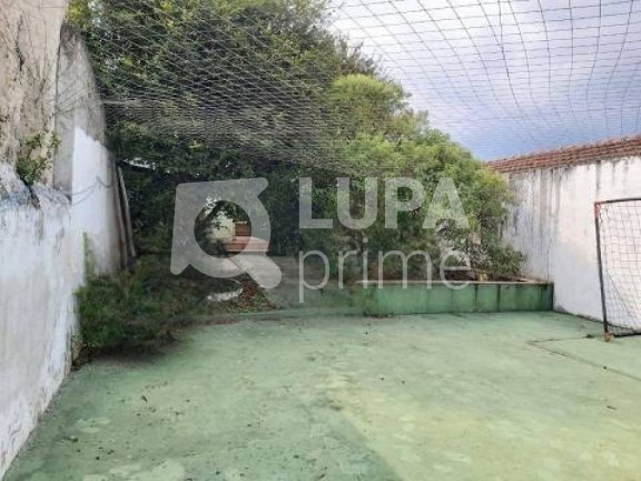 Imagem Casa com 3 Quartos à Venda, 450 m² em Vila Constança - São Paulo Imagem Casa com 3 Quartos à Venda, 450 m² em Vila Constança - São Paulo