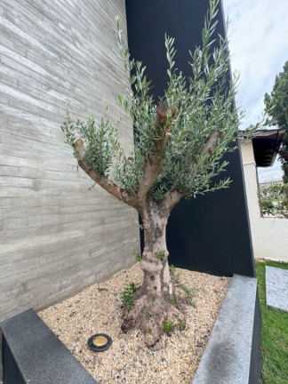 Imagem Sobrado com 5 Quartos à Venda, 344 m² em Jardins Madri - Goiânia