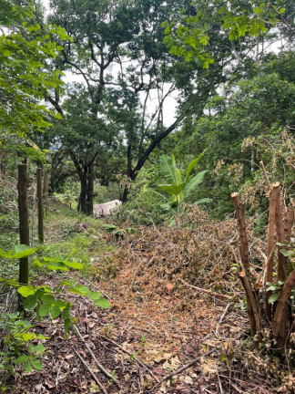 Imagem Terreno à Venda, 2.000 m² em Guaratiba - Rio De Janeiro Imagem Terreno à Venda, 2.000 m² em Guaratiba - Rio De Janeiro