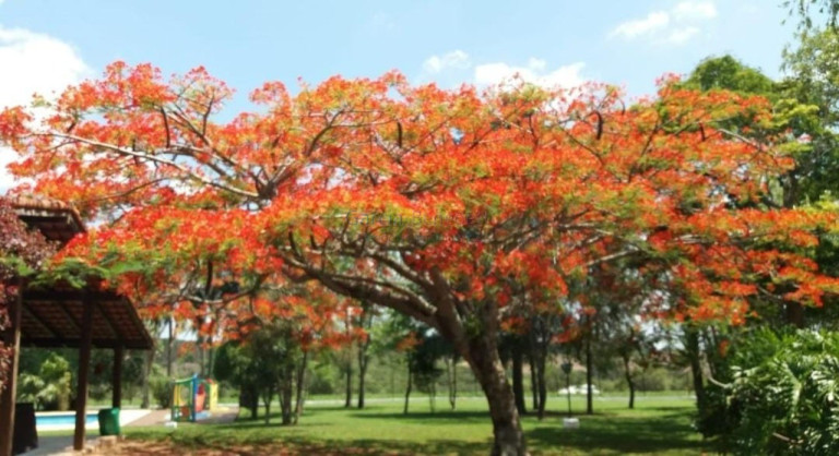 Imagem Imóvel com 4 Quartos à Venda, 196.262 m² em Cajuru Do Sul - Sorocaba Imagem Imóvel com 4 Quartos à Venda, 196.262 m² em Cajuru Do Sul - Sorocaba