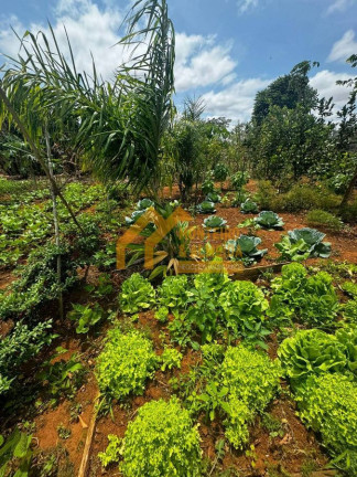 Imagem Fazenda à Venda, 34.000 m² em Vale San Fernando - Itapetininga Imagem Fazenda à Venda, 34.000 m² em Vale San Fernando - Itapetininga