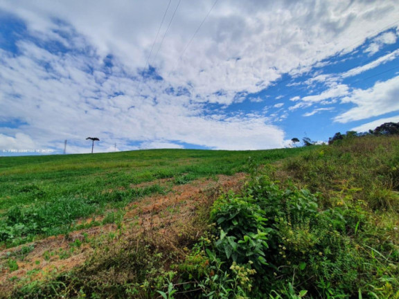 Imagem Terreno à Venda, 30 m² em Br 277 - Curitiba Imagem Terreno à Venda, 30 m² em Br 277 - Curitiba