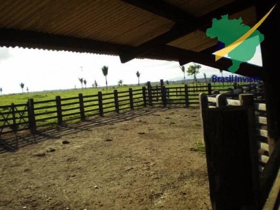 Imagem Fazenda à Venda, 12 m² em Centro - Buerarema Imagem Fazenda à Venda, 12 m² em Centro - Buerarema