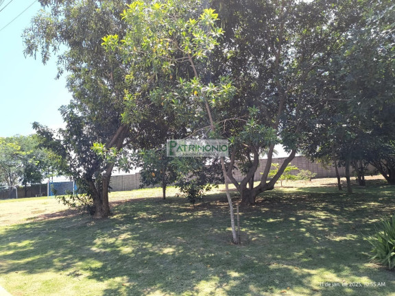 Imagem Terreno à Venda, 158 m² em Vila 12 De Setembro - Jaguariúna Imagem Terreno à Venda, 158 m² em Vila 12 De Setembro - Jaguariúna