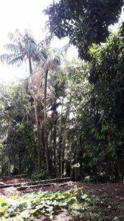 Imagem Terreno à Venda, 1.100 m² em Colônia - Ribeirão Pires Imagem Terreno à Venda, 1.100 m² em Colônia - Ribeirão Pires