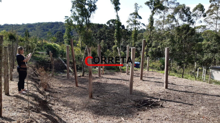 Imagem Terreno à Venda, 500 m² em Vargem Do Salto - Ibiúna Imagem Terreno à Venda, 500 m² em Vargem Do Salto - Ibiúna