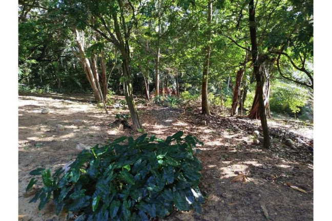 Imagem Terreno à Venda, 600 m² em Praia Do Forte - Mata De São João Imagem Terreno à Venda, 600 m² em Praia Do Forte - Mata De São João