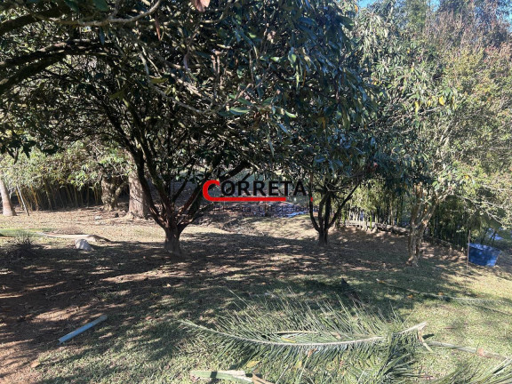 Imagem Casa com 3 Quartos à Venda, 9.200 m² em Bunjiro Nakao - Ibiúna Imagem Casa com 3 Quartos à Venda, 9.200 m² em Bunjiro Nakao - Ibiúna