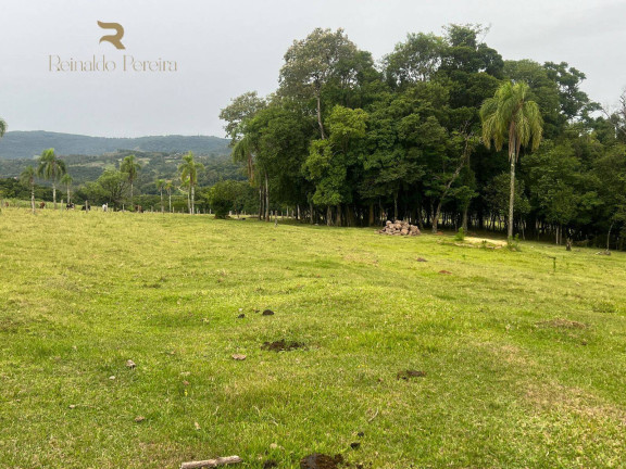 Imagem Chácara com 2 Quartos à Venda, 32.000 m² em Fazenda Fialho - Taquara