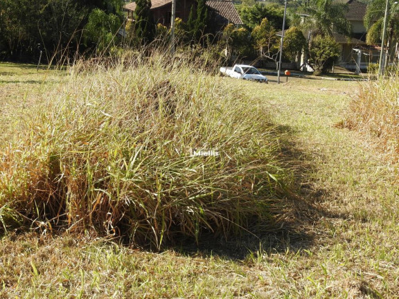 Imagem Imóvel à Venda, 1.600 m² em Fiuza - Viamão