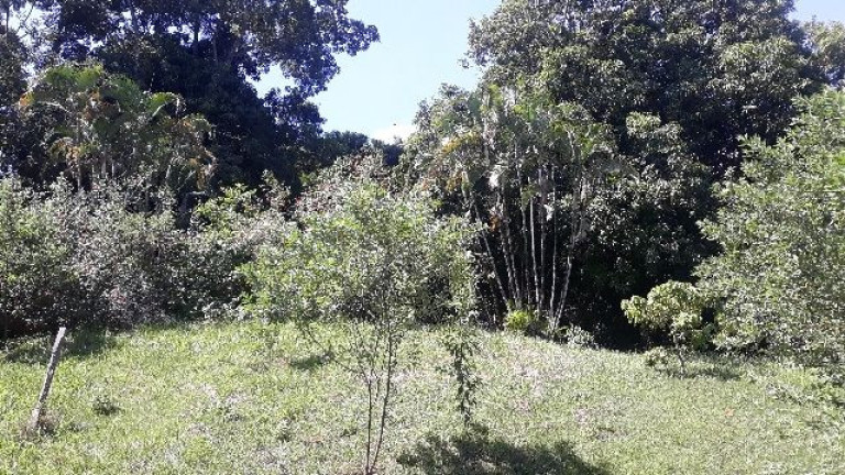 Imagem Imóvel à Venda,  em Chácara Recreio Floresta - Jaguariúna