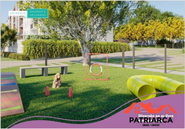 Imagem Apartamento com 2 Quartos à Venda, 41 m² em Jardim García - Campinas Imagem Apartamento com 2 Quartos à Venda, 41 m² em Jardim García - Campinas