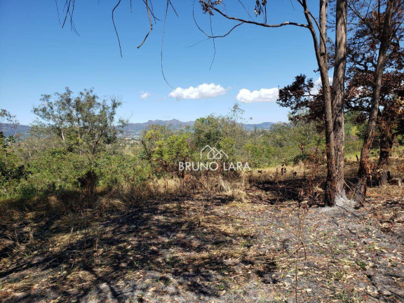 Imagem Terreno à Venda, 60.000 m² em Novo Igarapé - Igarapé