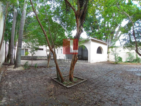 Imagem Casa com 4 Quartos à Venda, 750 m² em Jardim América - São Paulo Imagem Casa com 4 Quartos à Venda, 750 m² em Jardim América - São Paulo