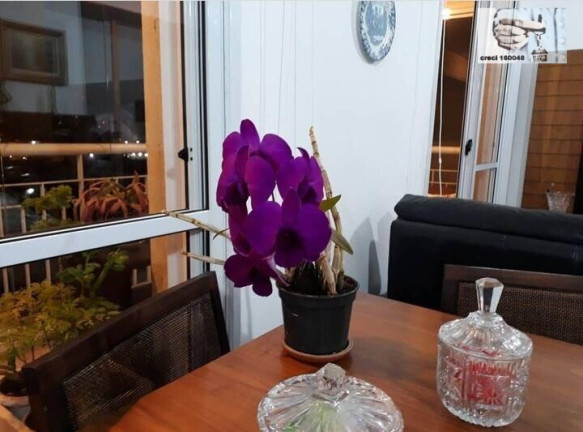 Imagem Apartamento com 3 Quartos à Venda, 104 m² em Lauzane Paulista - São Paulo