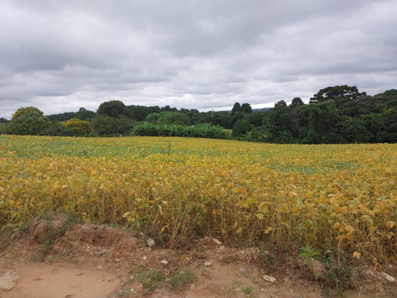 Imagem Imóvel à Venda, 24.200 m² em Centro - Araucária Imagem Imóvel à Venda, 24.200 m² em Centro - Araucária