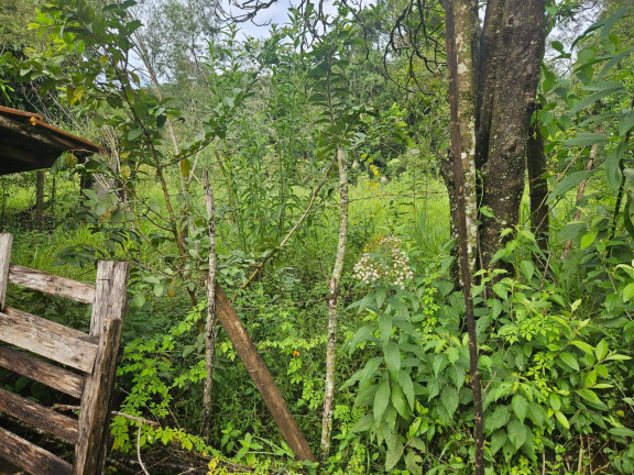 Imagem Chácara à Venda, 2 m² em Arapongas Imagem Chácara à Venda, 2 m² em Arapongas