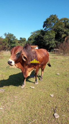 Imagem Chácara à Venda, 4 m² em Rural - Angatuba Imagem Chácara à Venda, 4 m² em Rural - Angatuba