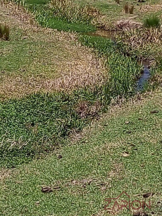 Imagem Chácara à Venda, 435 m² em Catuçaba - São Luíz Do Paraitinga Imagem Chácara à Venda, 435 m² em Catuçaba - São Luíz Do Paraitinga