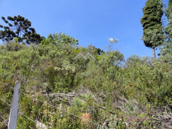 Imagem Terreno à Venda, 1 m² em Vila Natal - Campos Do Jordão Imagem Terreno à Venda, 1 m² em Vila Natal - Campos Do Jordão
