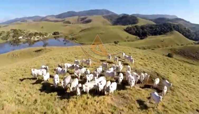 Imagem Imóvel com 10 Quartos à Venda, 1.452.000 m² em Caçapava - Caçapava Imagem Imóvel com 10 Quartos à Venda, 1.452.000 m² em Caçapava - Caçapava