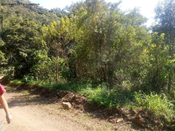 Imagem Terreno à Venda, 2 m² em Linha Temerária - Nova Petrópolis