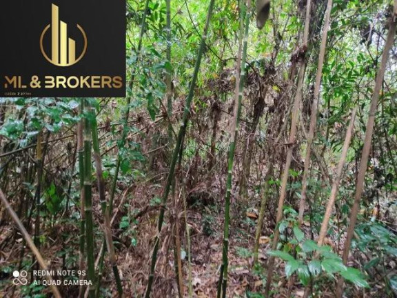 Imagem Imóvel à Venda, 20.000 m² em Sao Silvestre - Campo Largo