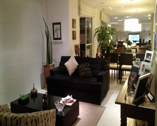 Imagem Apartamento com 3 Quartos à Venda, 176 m² em Aclimação - São Paulo