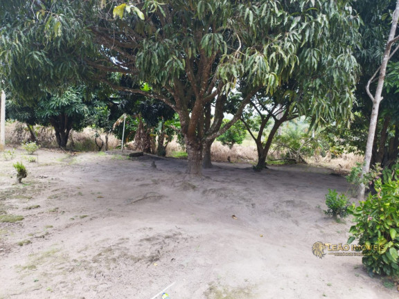 Imagem Imóvel à Venda, em Gravatá - Mandacaru Imagem Imóvel à Venda, em Gravatá - Mandacaru