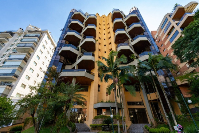 Imagem Apartamento com 3 Quartos à Venda, 243 m² em Jardim Vitória Régia - São Paulo Imagem Apartamento com 3 Quartos à Venda, 243 m² em Jardim Vitória Régia - São Paulo