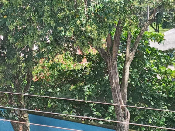 Imagem Sobrado com 4 Quartos à Venda, 300 m² em Jardim Casa Pintada - São Paulo Imagem Sobrado com 4 Quartos à Venda, 300 m² em Jardim Casa Pintada - São Paulo