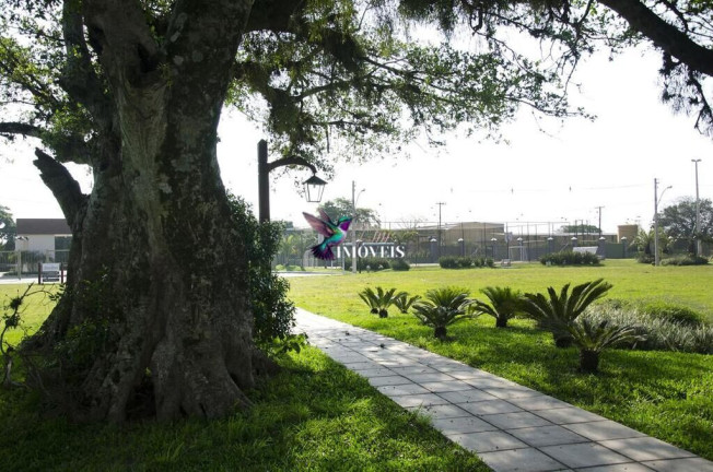 Imagem Terreno à Venda, 817 m² em Sans Souci - Eldorado Do Sul Imagem Terreno à Venda, 817 m² em Sans Souci - Eldorado Do Sul