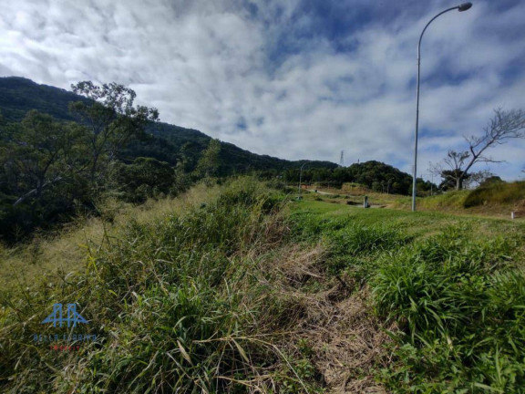 Imagem Terreno à Venda, 533 m² em Itacorubi - Florianópolis