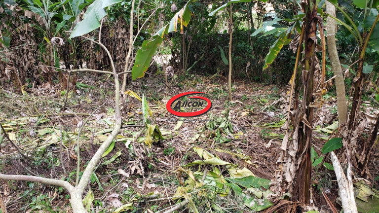 Imagem Terreno à Venda, 738 m² em Praia Da Fortaleza - Ubatuba Imagem Terreno à Venda, 738 m² em Praia Da Fortaleza - Ubatuba