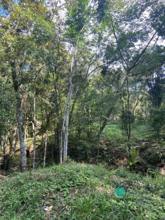 Imóvel à Venda, 5.000 m² em Interior - Alfredo Wagner