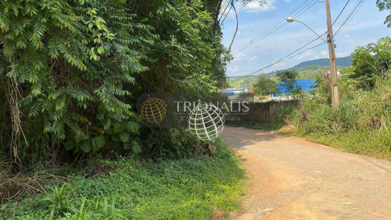 Imagem Imóvel à Venda, 24.256 m² em Cachoeirinha - Bom Jesus Dos Perdões