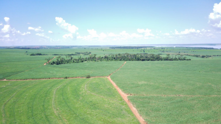 Imagem Fazenda à Venda, 800 m² em Zona Rural - Santo Antônio Do Aracanguá Imagem Fazenda à Venda, 800 m² em Zona Rural - Santo Antônio Do Aracanguá