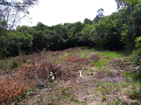 Imagem Terreno à Venda, 6 m² em Linha Temerária - Nova Petrópolis