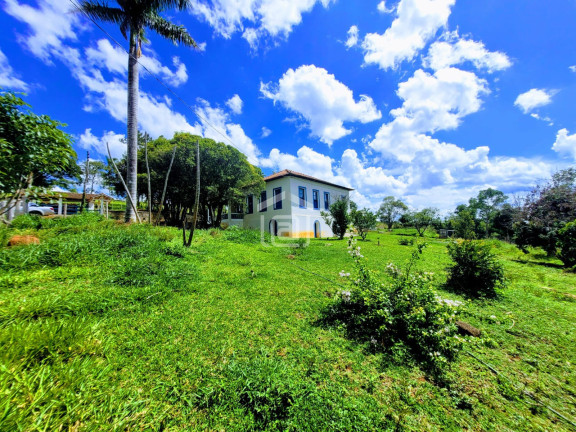 Imóvel com 4 Quartos à Venda, 8.200 m² em Comunidade Ribeirão Pequeno - Divisa Nova