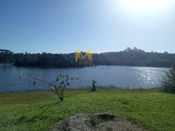 Imagem Chácara à Venda, 7.000 m² em Recreio Da Serra - Piraquara Imagem Chácara à Venda, 7.000 m² em Recreio Da Serra - Piraquara