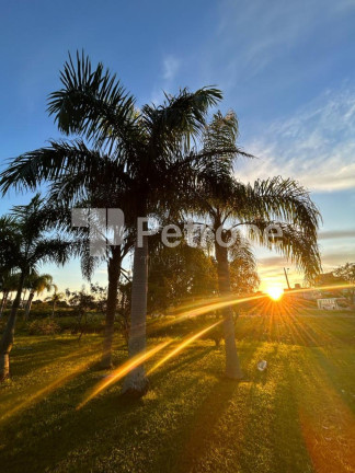 Imagem Apartamento com 2 Quartos à Venda, 67 m² em Praia De Palmas - Governador Celso Ramos