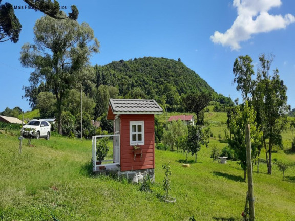 Imagem Imóvel com 4 Quartos à Venda, 300 m² em Pinhal Alto - Nova Petrópolis
