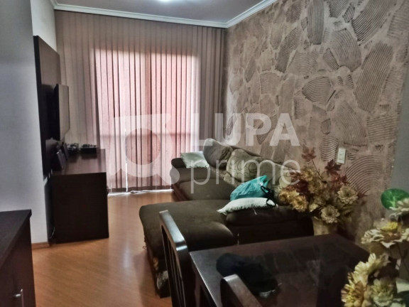 Apartamento com 2 Quartos à Venda, 50 m² em Vila Maria - São Paulo