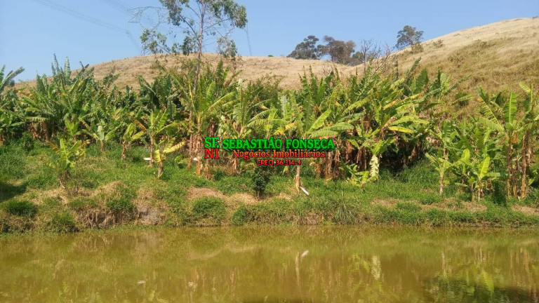 Imagem Chácara com 2 Quartos à Venda, 1.200.000 m² em Centro - Caçapava