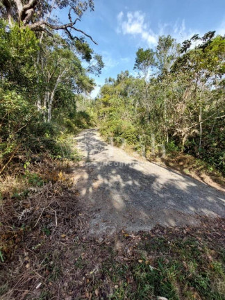 Terreno à Venda, 36.000 m² em Braço - Camboriú
