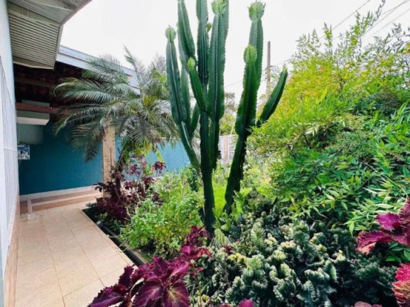 Imagem Casa com 3 Quartos à Venda, 164 m² em Bela Aliança - São Paulo Imagem Casa com 3 Quartos à Venda, 164 m² em Bela Aliança - São Paulo