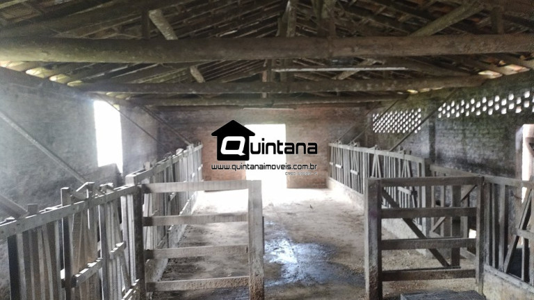 Imagem Imóvel com 3 Quartos à Venda, 660.000 m² em Fragata - Pelotas