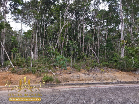 Imagem Terreno à Venda, 1.103 m² em Arraial D'ajuda - Porto Seguro Imagem Terreno à Venda, 1.103 m² em Arraial D'ajuda - Porto Seguro